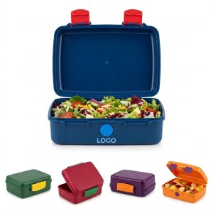 Vibrant Leak-Proof Bento Box Set, Microwave & Dishwasher Safe